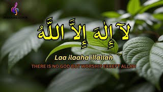 Dhikir LAILAHAILLALLAH reduce Stress LAILAHAILLALLAH I Dhikr for Easily Sleep #256