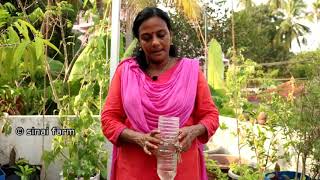 how make simple no cost drip irrigation for plants