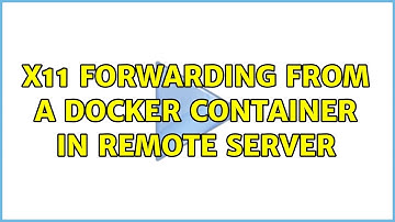 X11 forwarding from a docker container in remote server (3 Solutions!!)