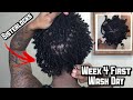 Sisterlocks First Wash Day | How to Wash Short Sisterlocks + Whats In The Sisterlocks Starter Kit