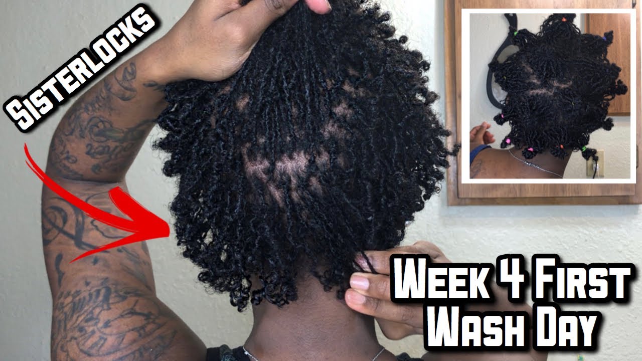 Sisterlocks First Wash Day How To Wash Short Sisterlocks Whats In Sisterlocks First Wash Day How To Wash Short Sisterlocks Whats In