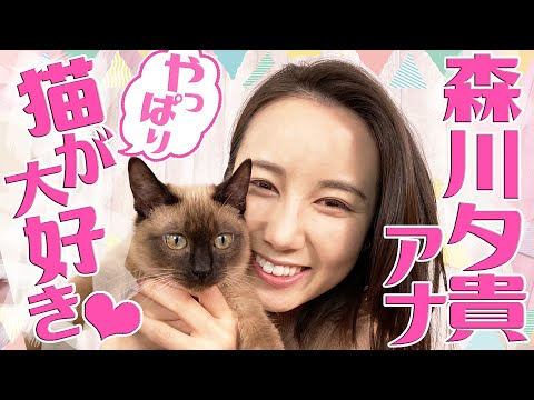 【森川夕貴アナ】ゆる〜い猫動画企画スタート!!【やっぱり猫が大好き♡】