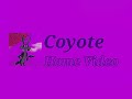 Logo Coyote Home Video International