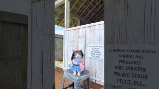 Download Lagu Zesika pergi ke dukun untuk memikat Om-om😹 #kucing #cat #youtubeshorts MP3