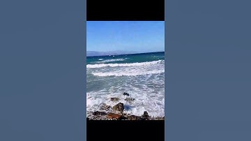 Thumbnail of SELDA BAĞCAN(MAĞUSA LİMANI)🌹