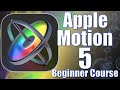 Motion 5 Beginner Course