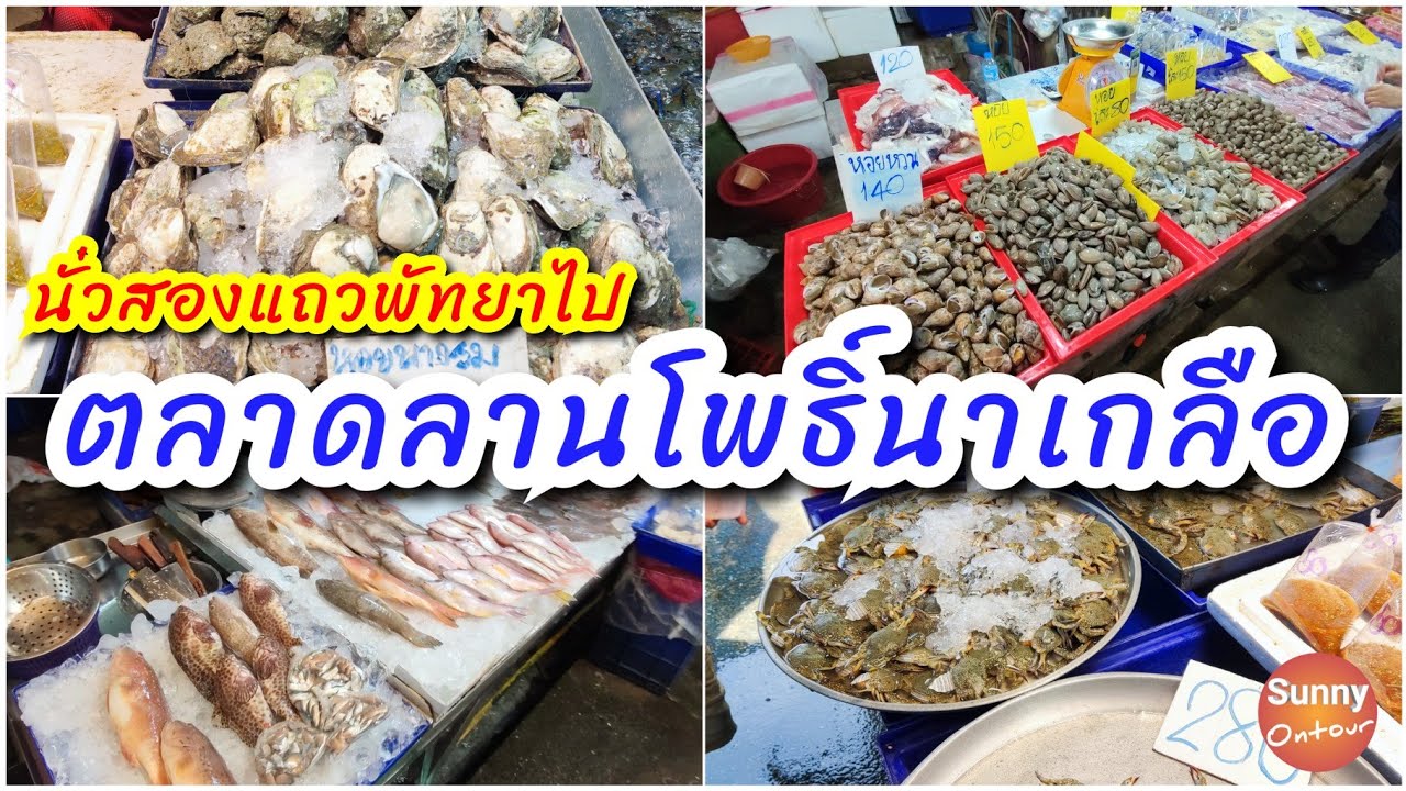 นั่งสองแถวพัทยาไป “ตลาดลานโพธิ์นาเกลือ” ตลาดอาหารทะเลใหญ่มาก | Lan Pho Na Kluea Market, Chonburi | ร้านอาหารทะเล พัทยาเนื้อหาที่เกี่ยวข้องที่แม่นยำที่สุด