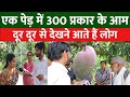 एक पेड़ में 300 प्रकार के आम| 300 varieties mangoes on single tree| Saleem azad| Global Boundary