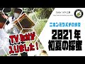 ニホンミツバチの蜂蜜【2021年　初夏の採蜜】　日本みつばちの養蜂 How to Beekeeping