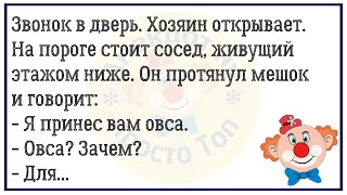 🔥Летит Самолёт,Вдруг У Него Что-то Ломается..Большой Сборник Смешных Анекдотов,Для Супер Настроения!