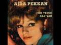 Ajda Pekkan - Her Yerde Kar Var (1965)