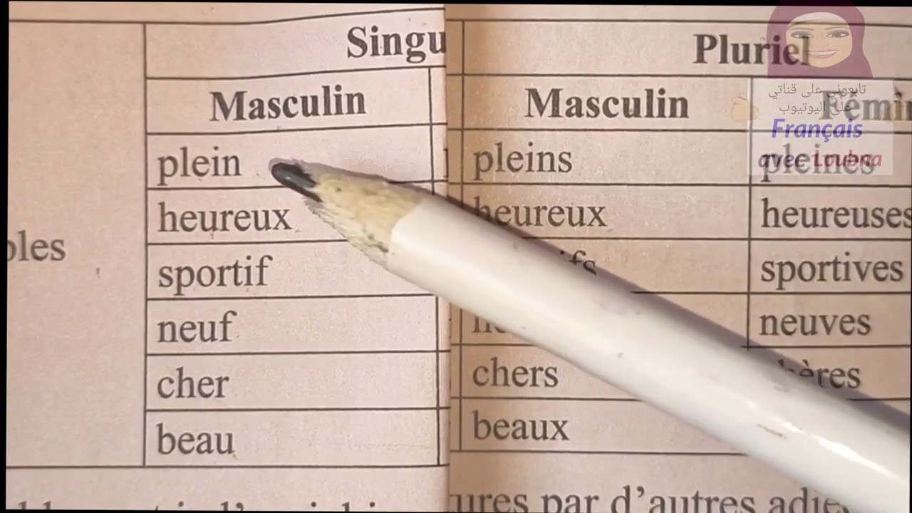 L'accord de l'adjectif (سلسلة المبتدئين الدرس 181)