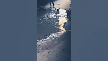 اللـي دخـل القلب وخلعع فااتـه گل الدلــع احلي اسكندريه في العالم 
