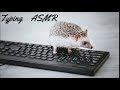 【作業用BGM】タイピングASMR　typing ASMR