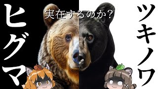 きままな熊 抱きつきアニマル/くまのマックス-3(W520×D400×H680
