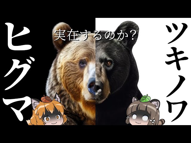 きままな熊 Amazon.co.jp: 吉徳 りくのなかまたち ぬいぐるみ ツキノワグマ