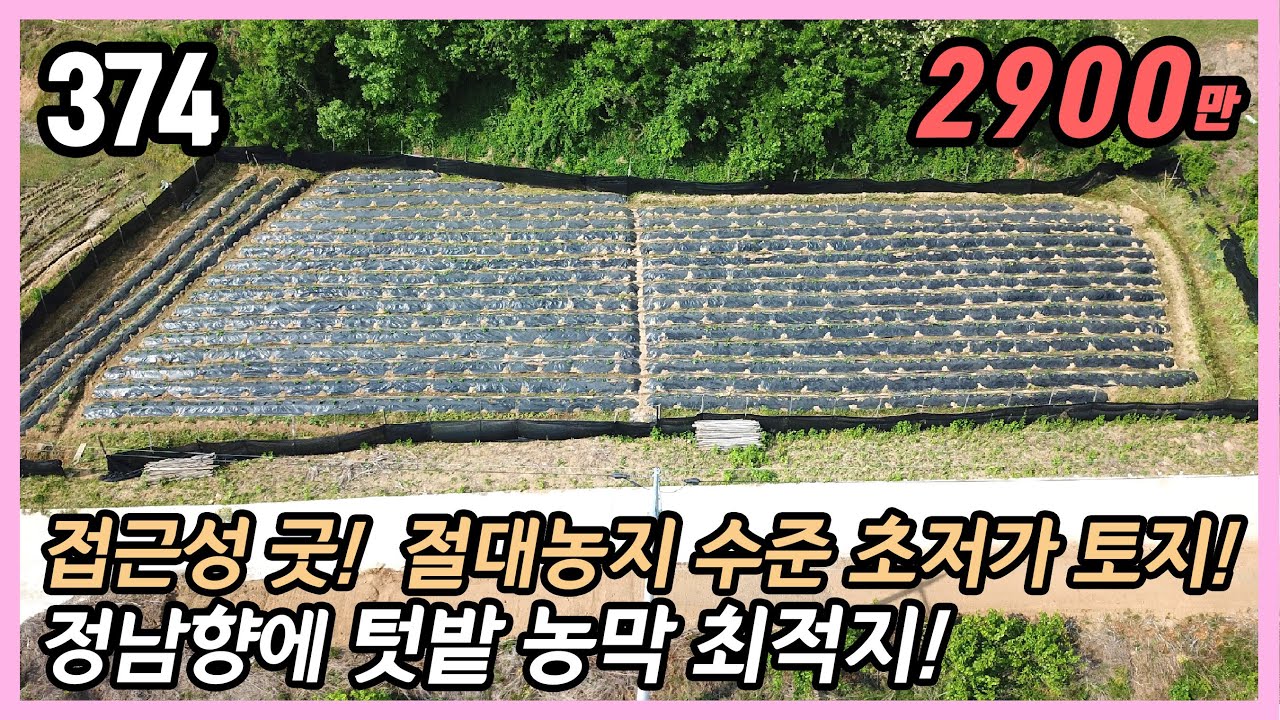 (공주시 탄천면 남산리) "🚗 도로 잘 접한 한적한 시골! 🌻 절대농지 수준 초저가! 🌞 햇볕 잘 드는 정남향 토지!  / 244평 네모지게 잘생긴 답 생산관리 / 스마트부동산