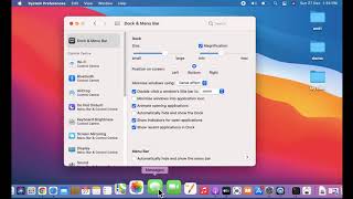How to Magnify Dock Icons on Mouse Hover in macOS Big Sur