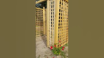 Part 4 of The Archway where the secret garden begins!! Coming Tuesday!!#archway #garden #shorts