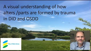 A visual understanding of how alters / parts are formed by trauma in DID and OSDD