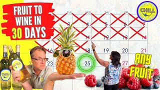 Fruit to Wine in 30 Days - The Only Wine Recipe You Ever Need - Pineapple Wine or any Fruit screenshot 2