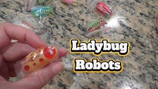 Ladybug Cat Robot Toys From Amazon! 🐞