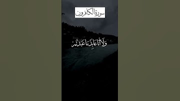 سورة الكافرون - سعد الغامدي