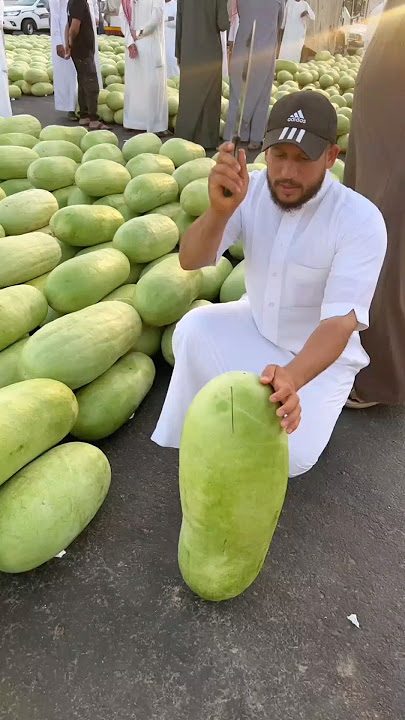 Semangka arab saudi besar besar ya #shorts #watermelon #semangka #fruit
