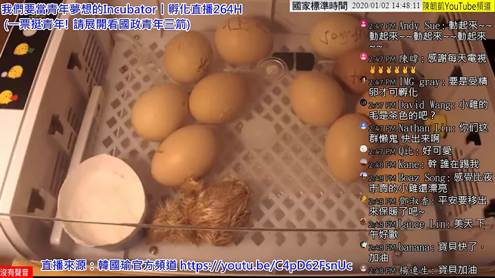 胎動《強韌的生命力》第二隻小雞【寶貝】孵化側錄20200102下午1439【我們要當青年夢想的Incubator】(一票挺青年! 請展開看國政青年三箭+300億青年願景工程基金) - 天天要聞