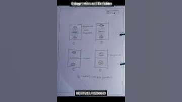 M.Sc. Botany Practical File (2nd sem.)  || Cytogenetics and Evolution || HPU  #botanynotes