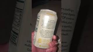 Olipop Ginger Lemon Review screenshot 2