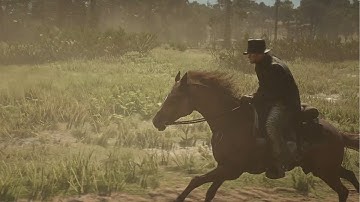 Feel the Calm | ASMR Horseback Exploration in Red Dead Redemption 2