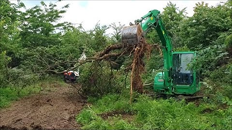 Clearing land with mini excavator. PART 2 of 3. Takeuchi & Bobcat e42 R series