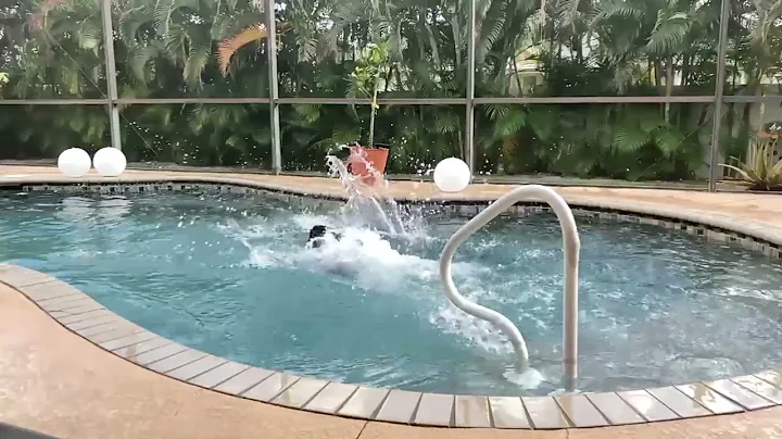 Wilbur Bud in slo-mo