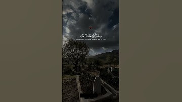 بصوت إسلام صبحي – آيات 115 - 116 من سورة المؤمنون 📖  – تلاوة مؤثرة 🙏 #إسلام_صبحي#القرآن_الكريم #خشوع