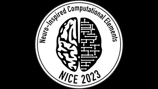 NEO: Neuron State Dependent Mechanisms for Efficient Continual Learning - Anurag Daram (UTSA)
