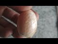 Hendel Forex Asli - Obat Pembesar Alat Vital - YouTube