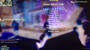 Mw3 mod menu(sorry video cut out)