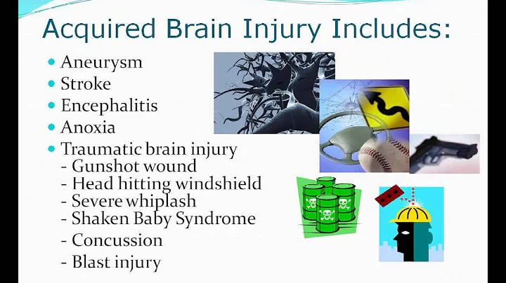 3-14-13 BIA NYS Webinar Training: Understanding Life with Brain Injury
