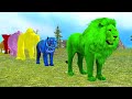 Paint animal fountain crossing |tiger&lion coloring fountain video |MZTive.
