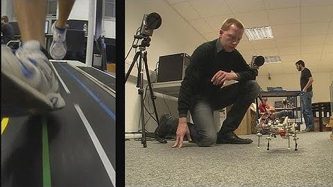 Do the locomotion - futuris