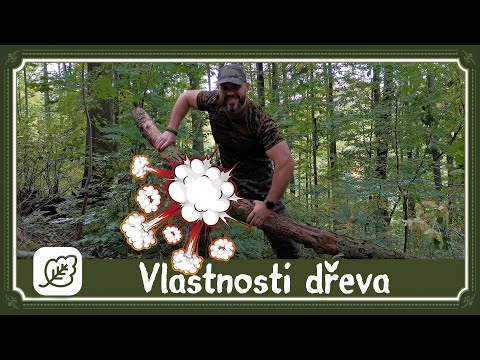 Video: Bukové dřevo - vlastnosti, působení a použití