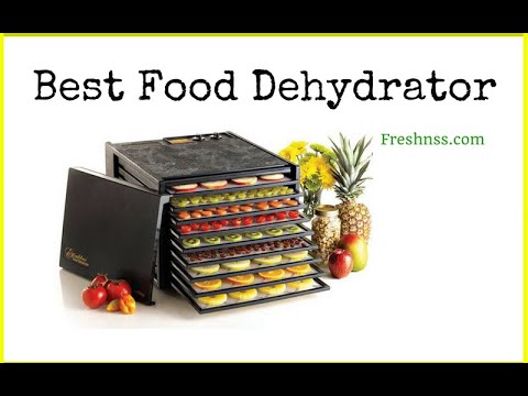 best-food-dehydrator-reviews-(2020-buyers-guide)
