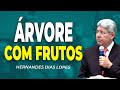 Hernandes Dias Lopes | FRUTÍFERO IGUAL JOSÉ