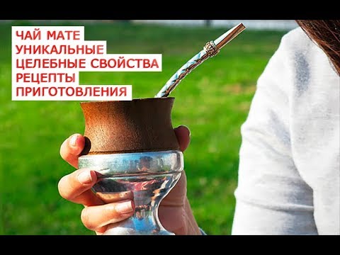 Чай Мате уникальные целебные свойства рецепты приготовления