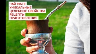 Чай Мате уникальные целебные свойства рецепты приготовления Чай Мате уникальные целебные свойства рецепты приготовления