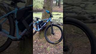 E-bike fever 🌳🔥 #viralvideo #ebikelife