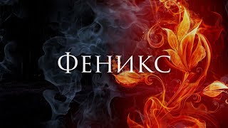 Ferveks feat. PtichkaPevichka - Феникс