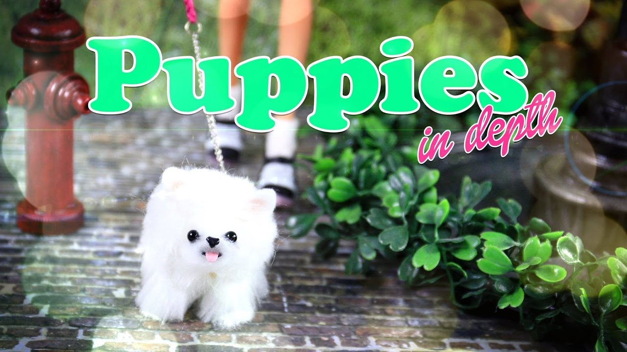 DIY - How to Make: Cute Doll Puppies - In Depth - Handmade ...