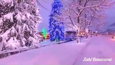 (إن الإنسان خلق هلوعاً ..) القارئ الليبي محمود المالكي